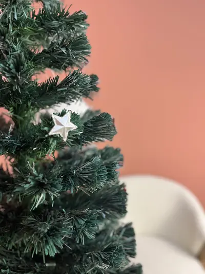 Detalle de estrella en rama de fibra óptica