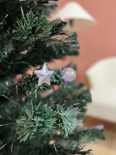 Detalle de estrella decorativa en las ramas